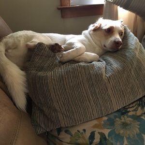 Meet your Posher, Steven